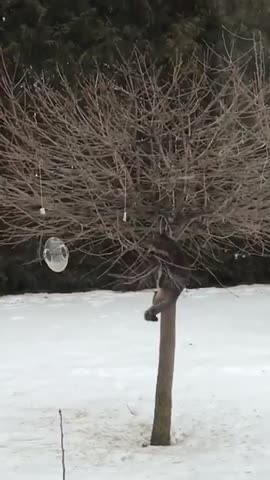 Уроки_выживания_зимой