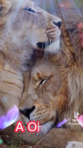 9bbb718131f4eb40eaa99496998fe454