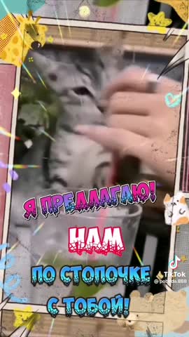 Foiz_PRO_VID-20221223-WA0000