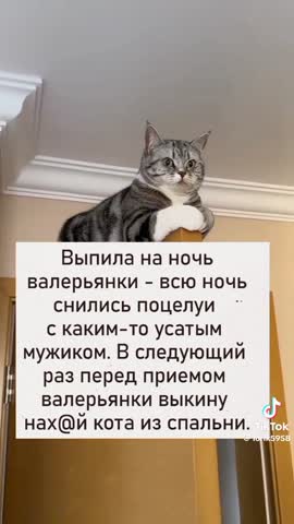 e68d5e6fba960f7401ebcbe42636a6de