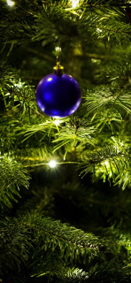 2J1ECoC0Vmeq7S8hw-EnkrQEVR3_-thD9UgxRIgudfgF79vknKIYX7LyaDlpVog4q7sb5NP0dpxpCSbh9DvVr80-