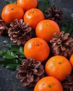 JfSr-eECgUH7F6YtRTSgoh-axjNNTqR2y1Gky6LINh9TmaPambbdtBrZXjBsCc7r_r0frqjjEbLnjqglHFtlSsSp