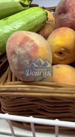 2_5391138409882343739