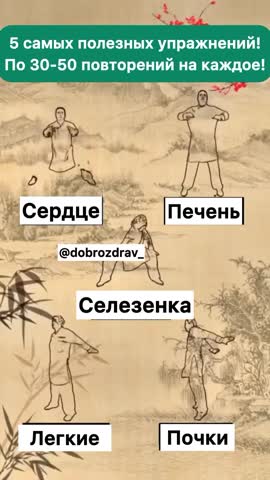 56766667