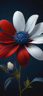 tsikQ0yacblaBoNNlw_NME9f2J2ansV6d1zq9D2InkH473mxbgUdpT7DFMtXvVgRot-c7tvlf_WYbhn-3kfJPQuK