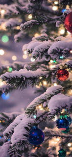 iTVIKdOA3_yrdz8bJbOwLjnx7z2u8SlOMvgeCskcG942cn4f5XuSGatk2z3scoBxCgR3vww8uj7Vxwbv3bkP7a