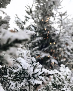 94r2VMyoHbYGylCJbXfr4gSYQAsR-g_daARtn1clxdY7HVivEMWmJ8PYwCVwSg07VYQE1DCM6Q8lUEYJJO9eht1-