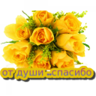getImage1