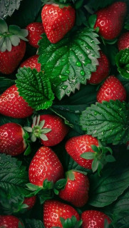 XzxqXjOhZBIQ3IjvR36qWcl--gW8OHd37MqQ7Z06h5JWaUG7gpV3kk-bPGrfazeJiof1ENKVoSFMrWM9_r6xY5Vd