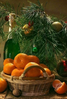 Wv-SYcy6Tfy-_35xO5z_qHSTBLwEomP7m8snLNx1LoFLgvBkVoSXuOZqvrZPuzzvdOIY6Xbe7L9uSbO0kr1jTxVV