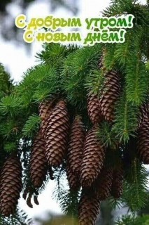 IMG-c58faece30809224da7c4317e37eb002-V