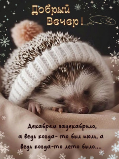 IMG-7aeab70d6ff6c9e0fc170488ea832a26-V