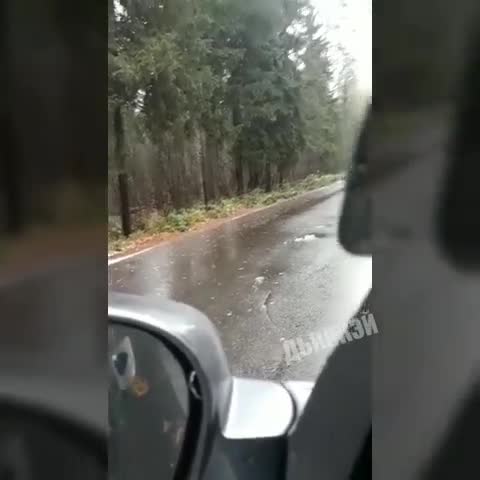 ты_чего_прячешся