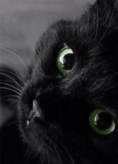 _QlGfzezHV6zNnohSg8YghDK2ww2oItiInpda0q-MxJBojwC_L92C7N4MHFw2Puvuo82fR_ufp_vyd12Dep0SrK7