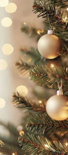 8gGpa1-Ft4_hyxsH05at12D_kCYEuY6h85rcLxn5avZLS8F1tfMDIY-ef0d34LhiGllHBEc3N7g2C3Co9ld1b5lP