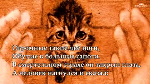 VID_20241218_104912_158