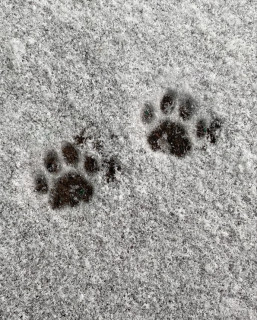 poeasy_ua_1734677554609