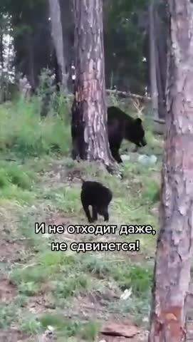 не_надо_Вася