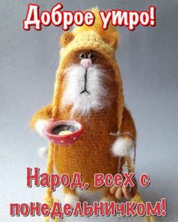 IMG_20241223_082406_005