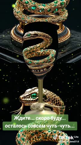 0a5556d56ce9a9ff84089be3998e724e_1735051611643