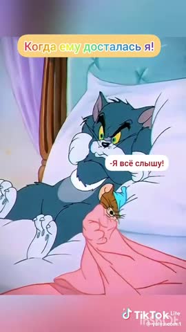 c72797fd82b020ffca6ca1be53489bb0_1735052507834