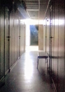 24 декабря 2024 года-Коридор детской музшколы