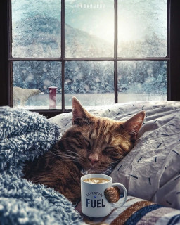 9tU-teYwjA_2z5xgTubDmKQe2N7nQgNu7clFZzshioih_EcCih5I50UZzmRGufoLWjSr7GGyoV1Us6rLrpmN_A7s