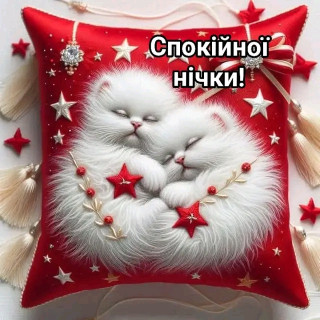 FB_IMG_17354165157142892