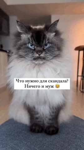 Ничего
