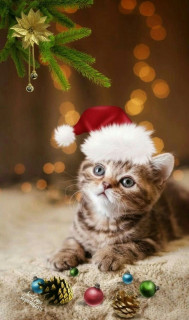 r2y2B53isLXMO4olBnSKSw6QPyTrCnnxhQZ53pQYBR3NtrZbXcbd0ra1_2qRIW3EWJuzWqs02uKpu0y49nA8SbtY