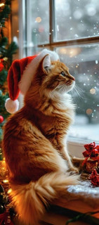 eyDSvuq6z5NCxHHhUDxgp5fwTsmn2YC1yRAZ5QlHyxwh7BKRM-WTslpxH3s_Ei5t6LVDFo1pt0URqPGzXFrhkX