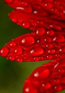 3SseG9kGO0lT5Pi7dMWu4fhy25BMVmwGU2lNl9qEgebtFenAl7tNplgwUrQjHGDdZDQ6_AUSWgwX8t_FOcA8zB