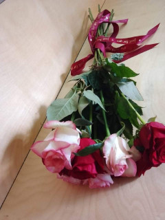 FB_IMG_1731794657480