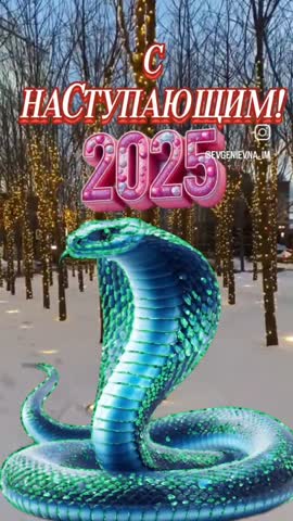 VID_20241231_104724_403