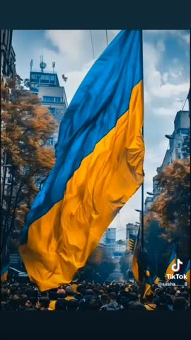 13ae216d7fe4d142ca7e9cd85884e47e