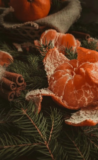 37XE2eisEQIwSh_UxhhAMJGii6kZJYYkrIObFybITSKNjdeJOGyBKbKXpvLYq5jnVmIXPtcYcBQyVJUcA0o6iG1-