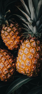 2-2Twy169wla63wZuLEJJUoeArBfNTrt3MlpiU0uVoiNHBaB8JwiBE_EFT6QrbphTRKPjmRs59n2bqe2zuPn8sI4