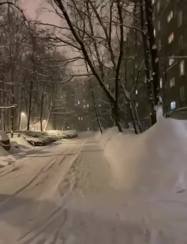 VM_Video_1709790227183