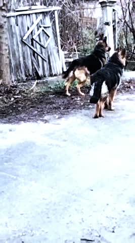 464ecd1973a29db74ec22b3a7441138b