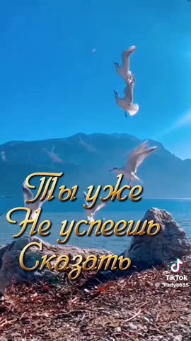 c4be602814fe0c89dac09ed494aa11b3