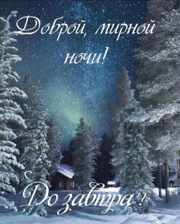 IMG_20250107_195719_264