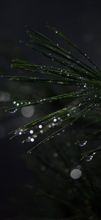 1J9kvnly2shZ4KnZphwCrlaPtUVdhbc9UJC_U8BnxtUz5gtUIcOsPY9PA5g4ZA9UtehzJfup5-EUc7JslkusJ9Cr