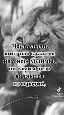 672ffb683b1e85c31e5cb47580e311fe