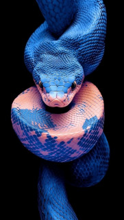 BCkIm0TJTOa-H8Vi_laDxeuQnodEGK8itMubR1eDsLSUgqch2pRxg4KQbvAuK0PbwprGAUHsAt9IIegi4RVR5sQ4