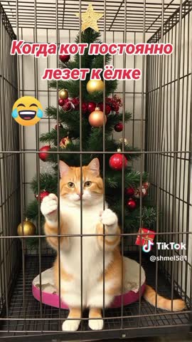 7f94e37f6f68f53286c421601ce8306f_1736494331758