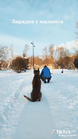 ad957f0e48fc9daf0687daae82c56247_1736499018140