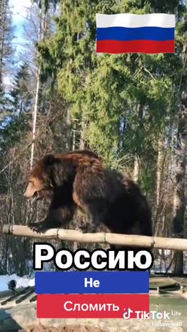 d744e00558c31841066c9689301f8cb6_1736498977770