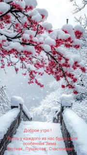 IMG_20250111_080634_789