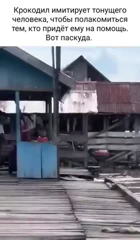 крокодил_обманщик