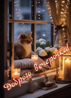 IMG-aef520a3d0f8c48523af2cfcf82c3e6a-V